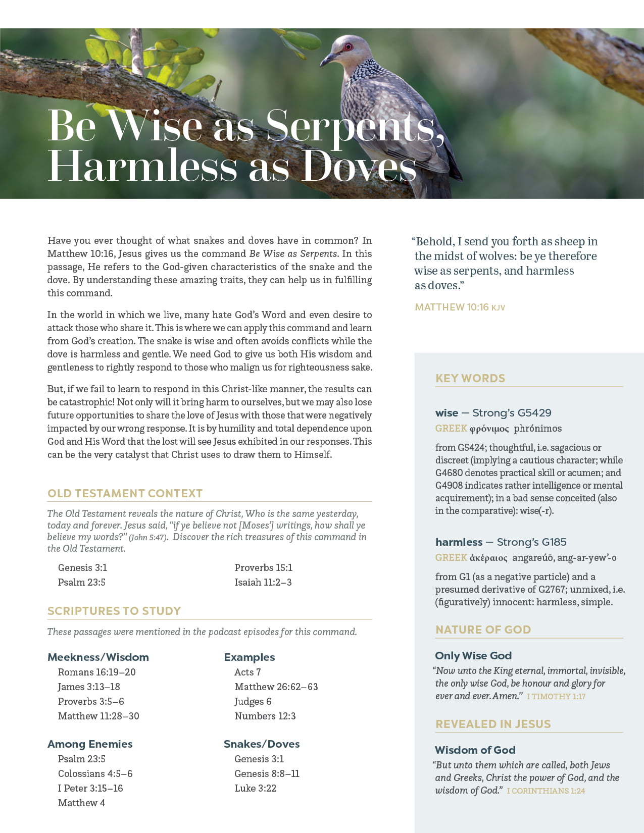 Lay Up Treasures - Podcast Study Guide