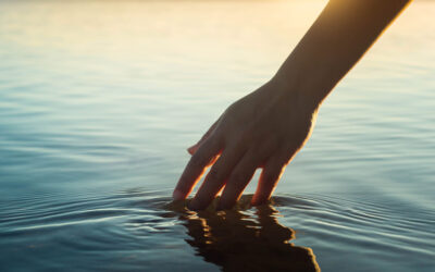 Baptize My Disciples