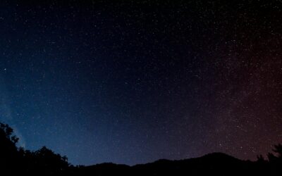 Cum este ilustrată loialitatea în legăminte